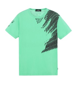 STONE ISLAND SHADOW PROJECT 20610 PRINTED SS-T Short sleeve t-shirt Man Green